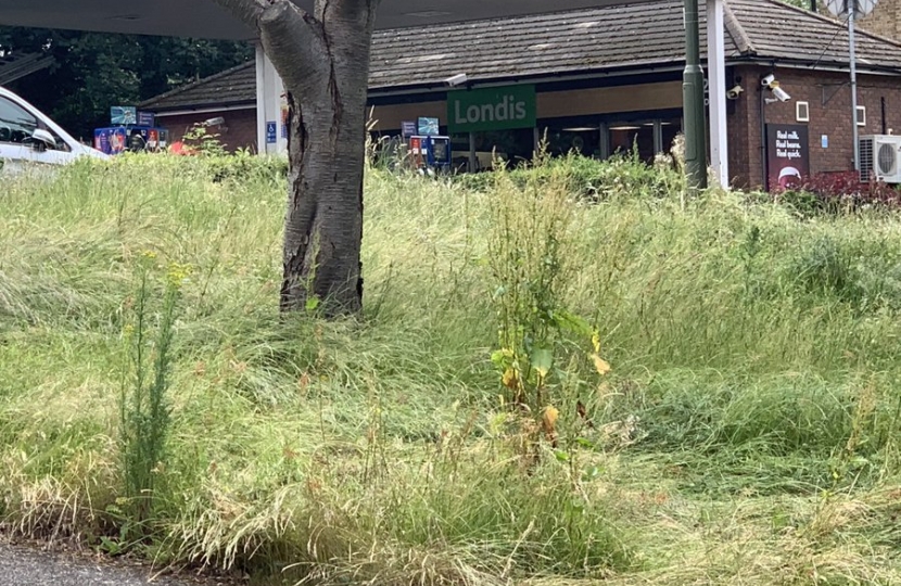 Elmbridge Council is letting the grass grow under its feet