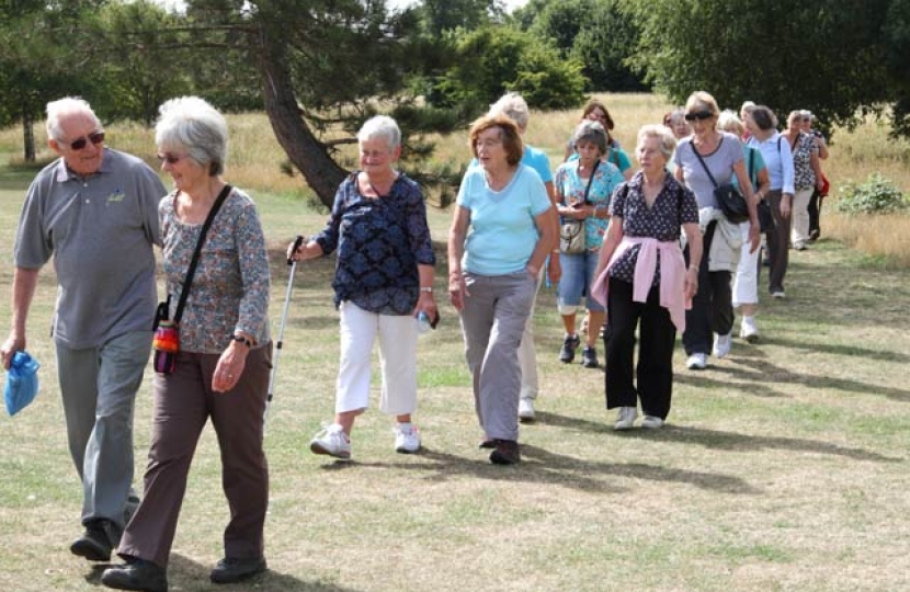 Elmbridge healthy walks