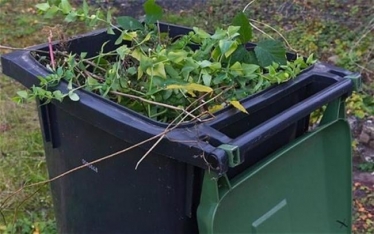 Garden waste bin